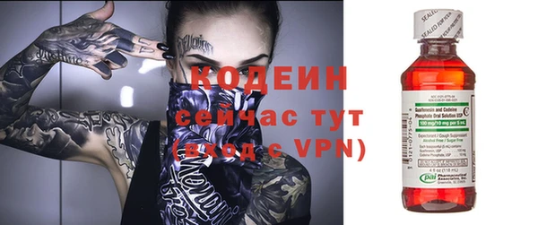дживик Осинники