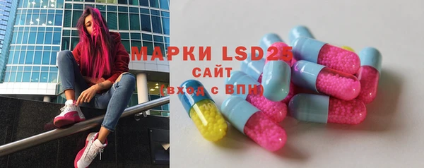 дживик Осинники
