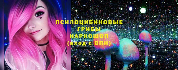 дживик Осинники