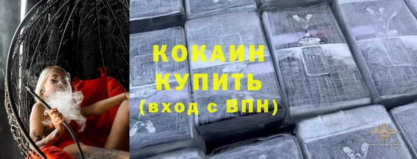 дживик Осинники