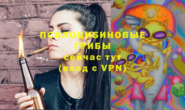 дживик Осинники