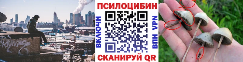 Галлюциногенные грибы Cubensis  Харабали 